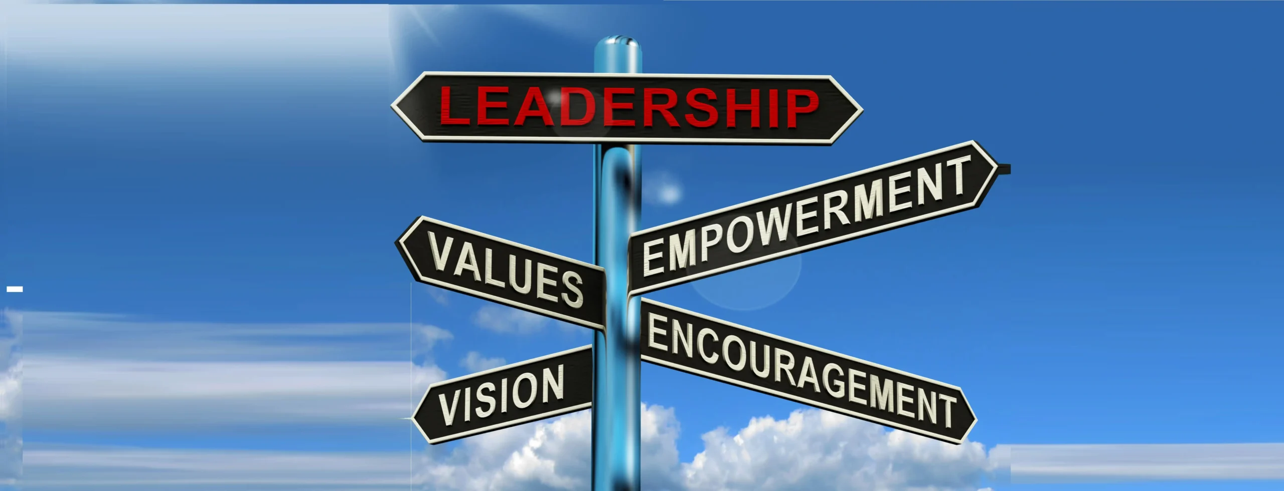 Leading Transformational Change: The Critical Role of Executive Leadership
