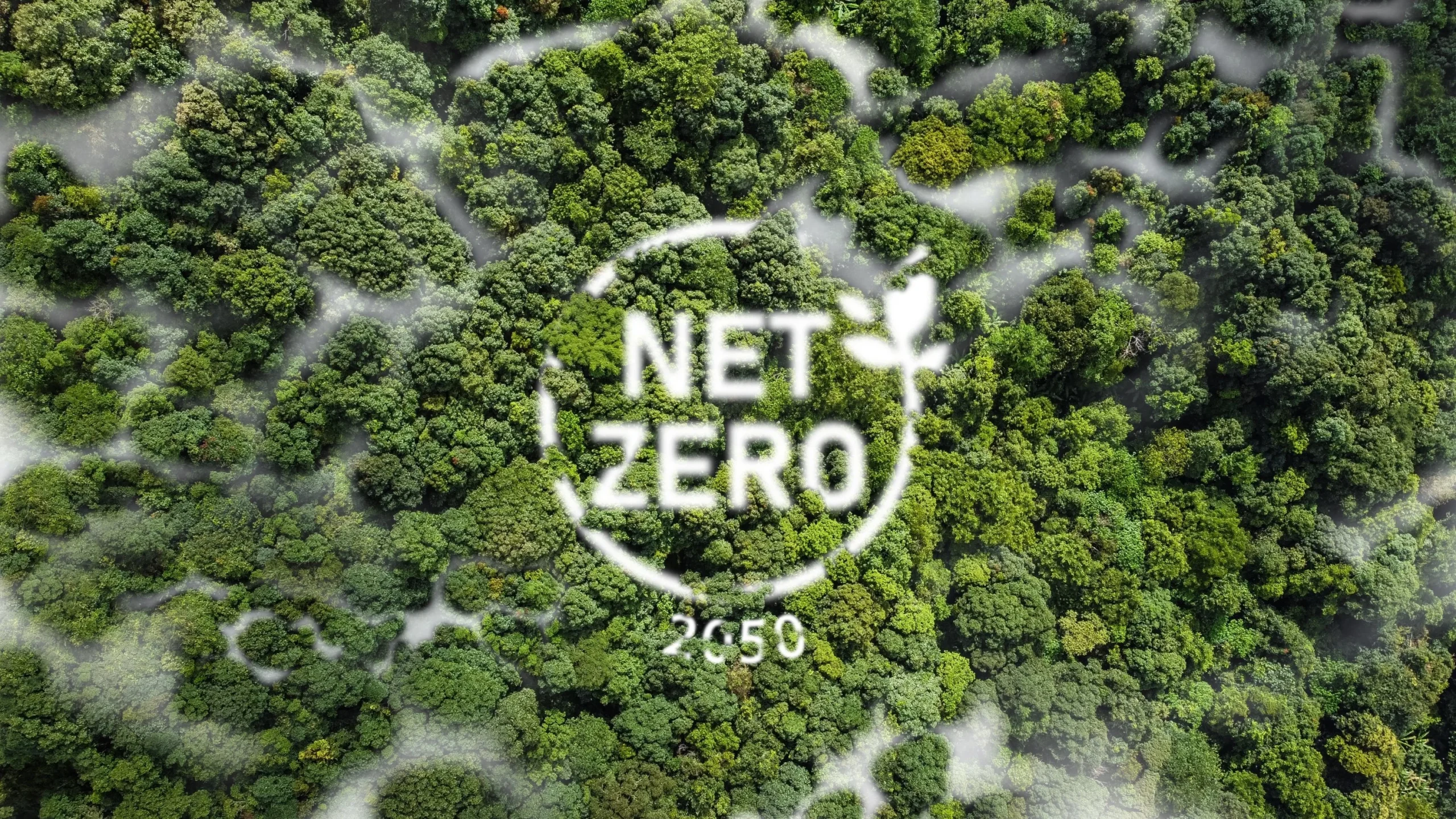 The Net Zero Race: Accelerating Business Sustainability